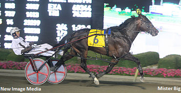 Another 'Big' Year Ahead 