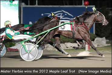 Mister Herbie's Road To Recovery