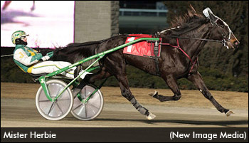 Home Field Advantage For 'Herbie'?