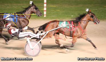 Modern Connection Gets Gold In Elora