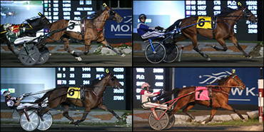 Marvelous Mares At Mohawk