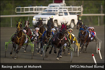 Homebreds Shine In 2YO Qualifiers
