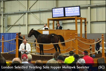 London Selected Yearling Sale Complete