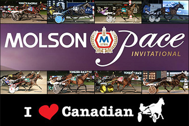 Molson Pace Online Contest