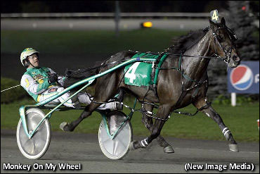 More Gold For Monkey On My Wheel