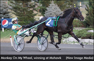 Monkey On My Wheel Retired