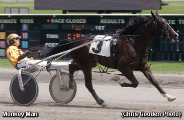 Rookie Trotting Colts Spar In PASS