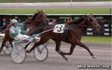 Most Wanted Lindy Wins Meadows Series