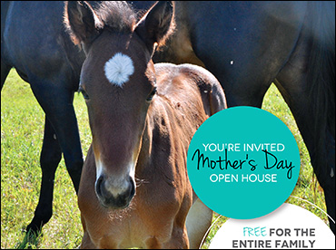 Mother’s Day Open Houses