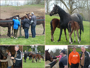 Successful Sunday Open Houses