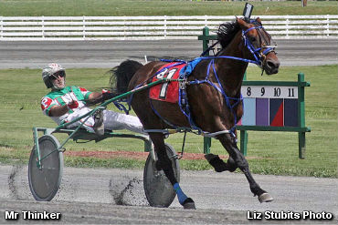 Mr Thinker A Perfect 10