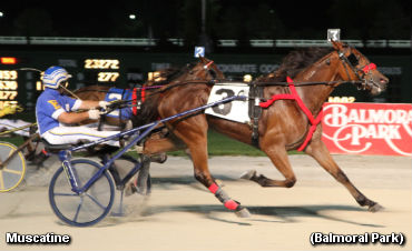 Trotters Wrap Up Southland Racing Festival 