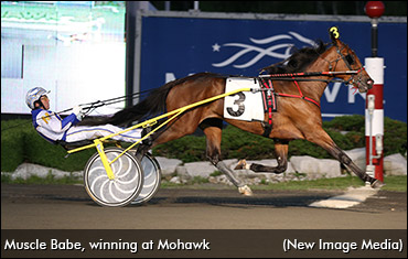 Muscle Babe Much The Best