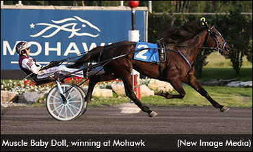 From Iowa Fairs To Breeders Crown?