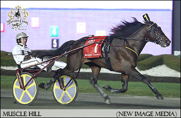 Muscle Hill Leads Dan Patch Winners