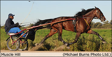 Hamilton Handicaps The CTC