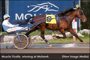 Henriksen High On 'Hustle'