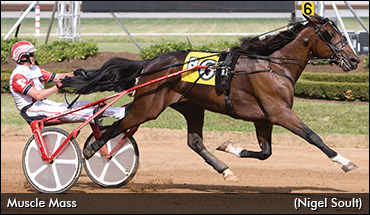 Full Book For Muscle Mass 