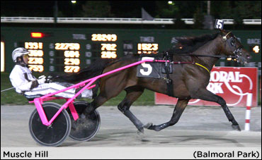 Muscle Hill Overpowers Rivals In Am Nat