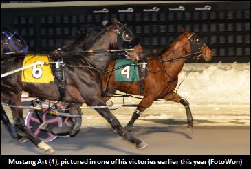 “Rare Horse” Wows Veteran Trainer