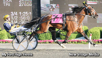 Filly Shows Her 'Heels' To The Field