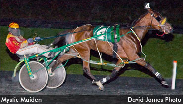 Mystic Maiden & Co. To Ontario