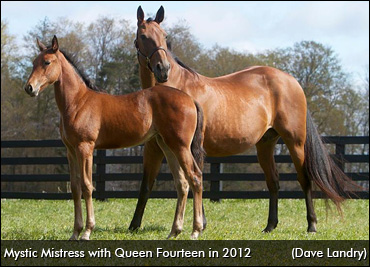 Mystic Mistress Euthanized