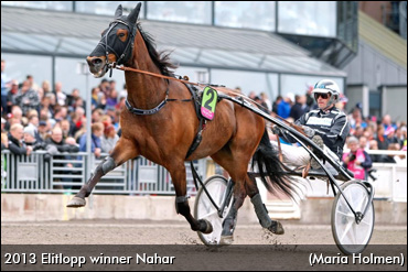 Nahar, Sedins To Maple Leaf Trot?