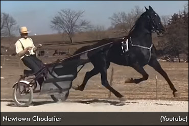 Claimer Sells For $300,000