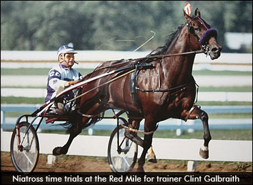 The Day Niatross Broke 1:50