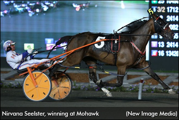 Nirvana Seelster: The Iron Horse