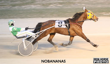 Trainer Kim Matthews Loving Nobananas