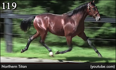 Century Downs Racing Club Returns