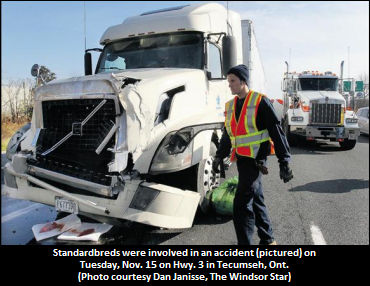 Standardbreds Involved In Traffic Accident