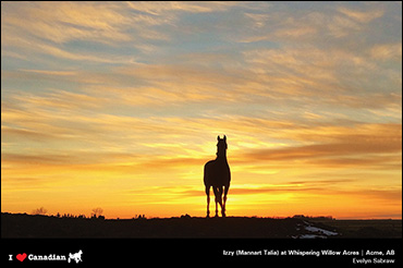 November's Calendar Photographer