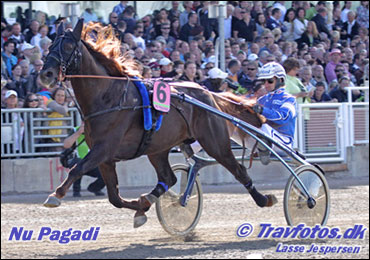 Nu Pagadi Wins Copenhagen Cup