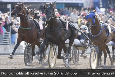 Nuncio Wins 2016 Elitlopp