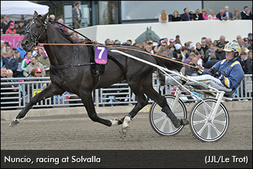 No Prix D'Amerique For Nuncio