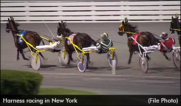NY Promotes Value Of Horse Racing