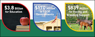 NYGA Releases Annual Report