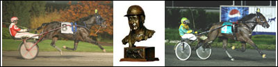 O'Brien Profiles - Two-Year-Old Trotting Fillies