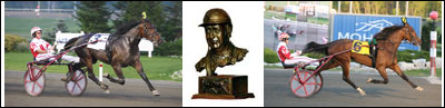 O'Brien Profiles - Three-Year-Old Trotting Fillies O'Brien Profiles - Three-Year-Old Trotting Fillies