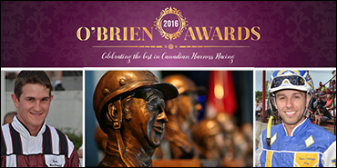 From Rideau To The O'Briens