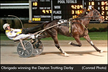 Obrigado To International Trot