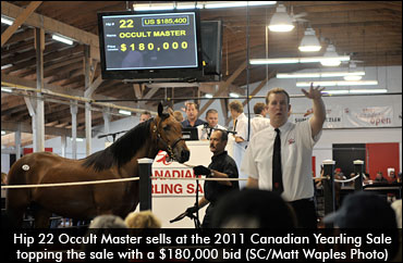 SC Announces 2012 Sale Dates