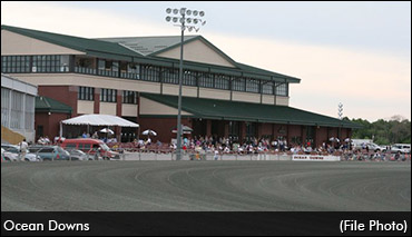 Five Sire Stakes Walkovers