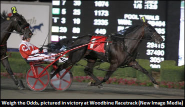 Are The ‘Odds’ In MacGrath’s Favour?