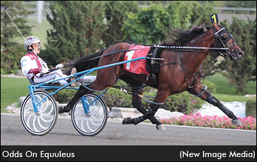 Optimism For Odds On Equuleus