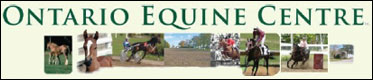 Ontario Equine Centre Plans Drive On