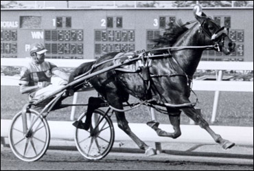 Photo Trivia Contest Answers